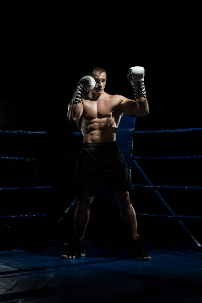 боксёр на боксерском ринге
 - Фото, изображение