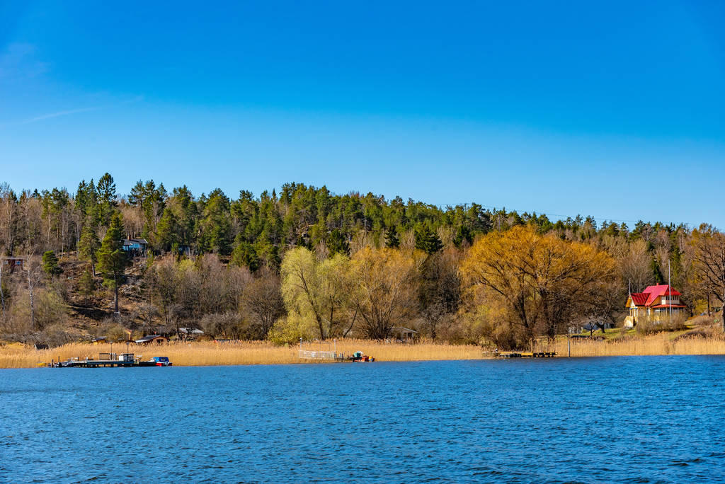 Forrested island on lake malaren near Stockholm, Sweden - Photo, Image