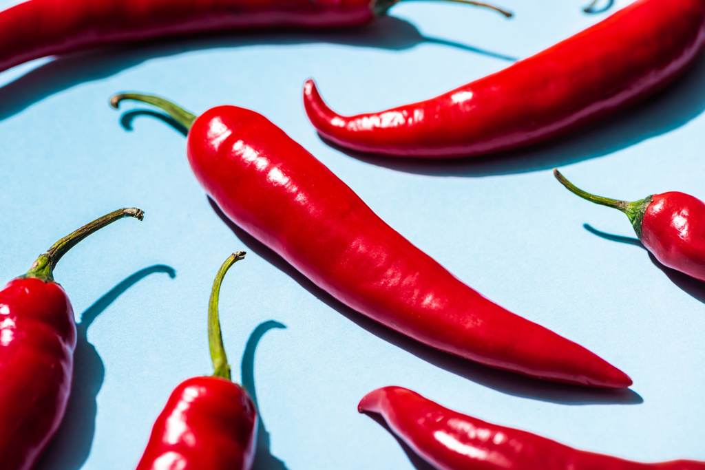 Close up view of ripe chili peppers on blue background - 写真・画像