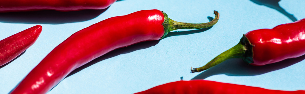Close up view of organic chili peppers on blue surface, panoramic shot - 写真・画像