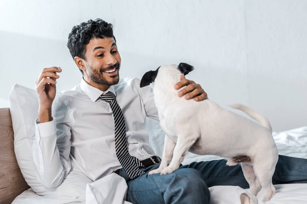 sorridente uomo d'affari bi-razziale che tiene Jack Russell Terrier in mattinata a casa
  - Foto, immagini
