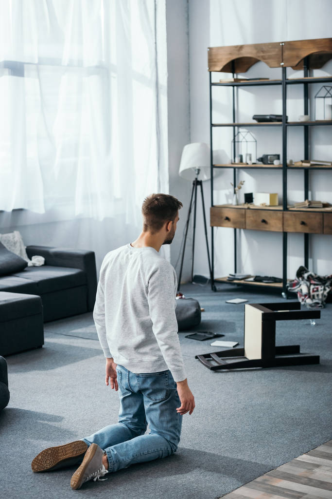 Вид сзади на человека в пуловере, смотрящего на ограбленную квартиру
  - Фото, изображение