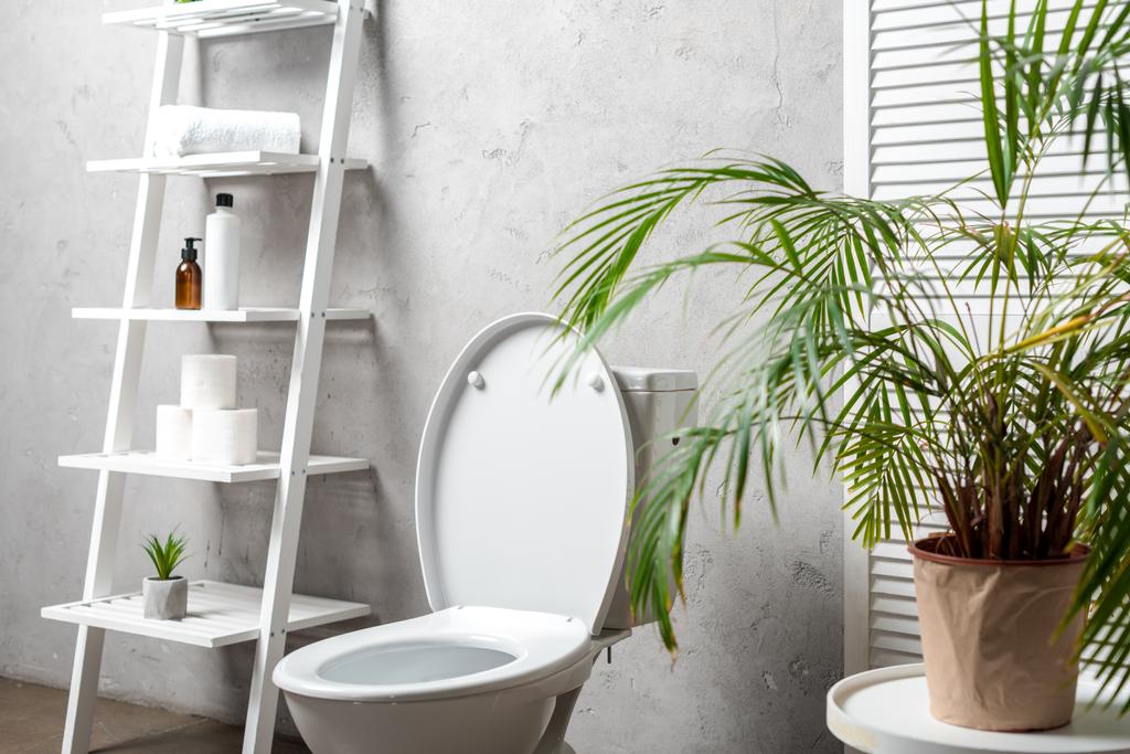 interior of modern bathroom with toilet bowl near rack with cosmetics, towels, toilet paper, palm tree - Photo, Image