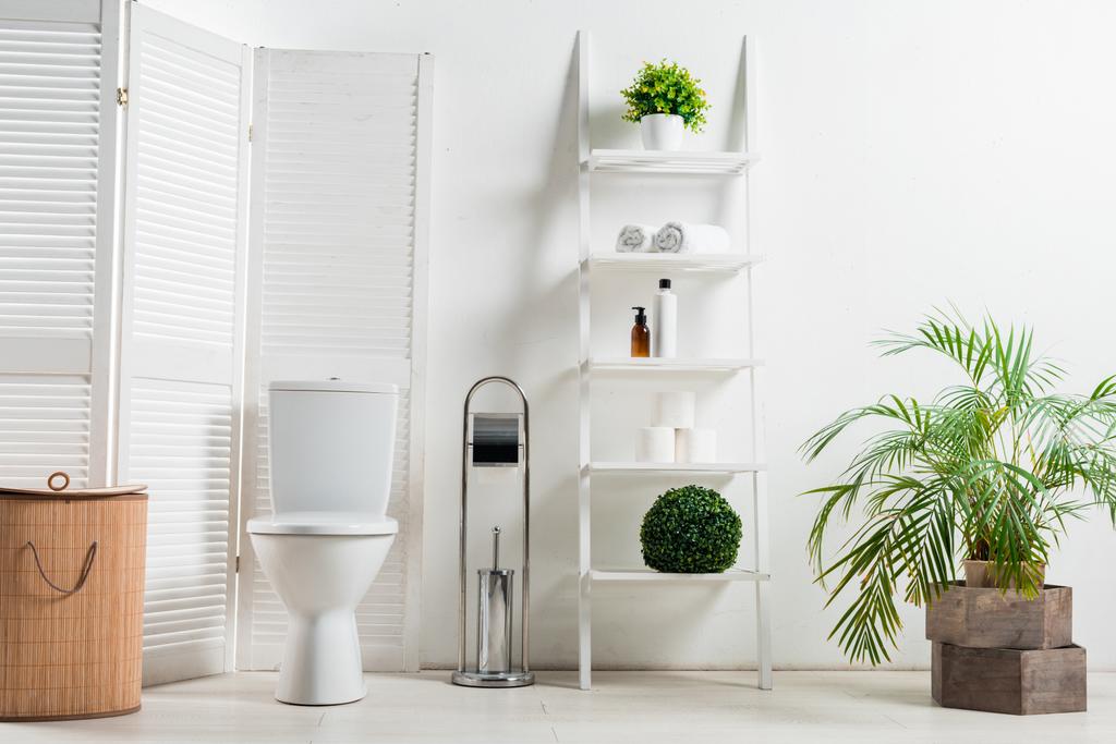 интерьер современной белой ванной комнаты с унитазом рядом складной экран, корзина для белья, стойка и растения
 - Фото, изображение