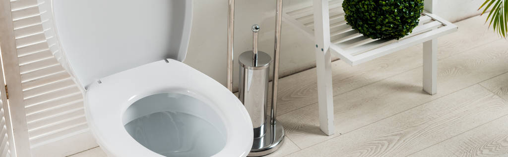 εσωτερικό από λευκό μοντέρνο μπάνιο με λεκάνη τουαλέτας κοντά σε πτυσσόμενη οθόνη, βούρτσα τουαλέτας, rack and plants, πανοραμική λήψη - Φωτογραφία, εικόνα