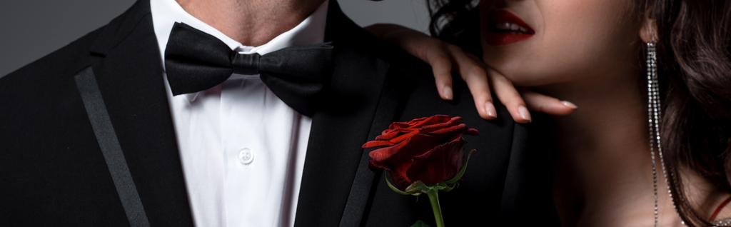 панорамный снимок пары, обнимающей и держащей красный цветок розы изолированный на сером
 - Фото, изображение