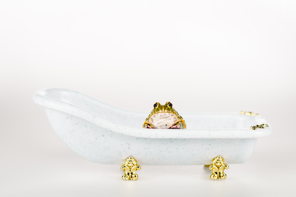 aranyos zöld béka kis luxus fürdőkád elszigetelt fehér - Fotó, kép