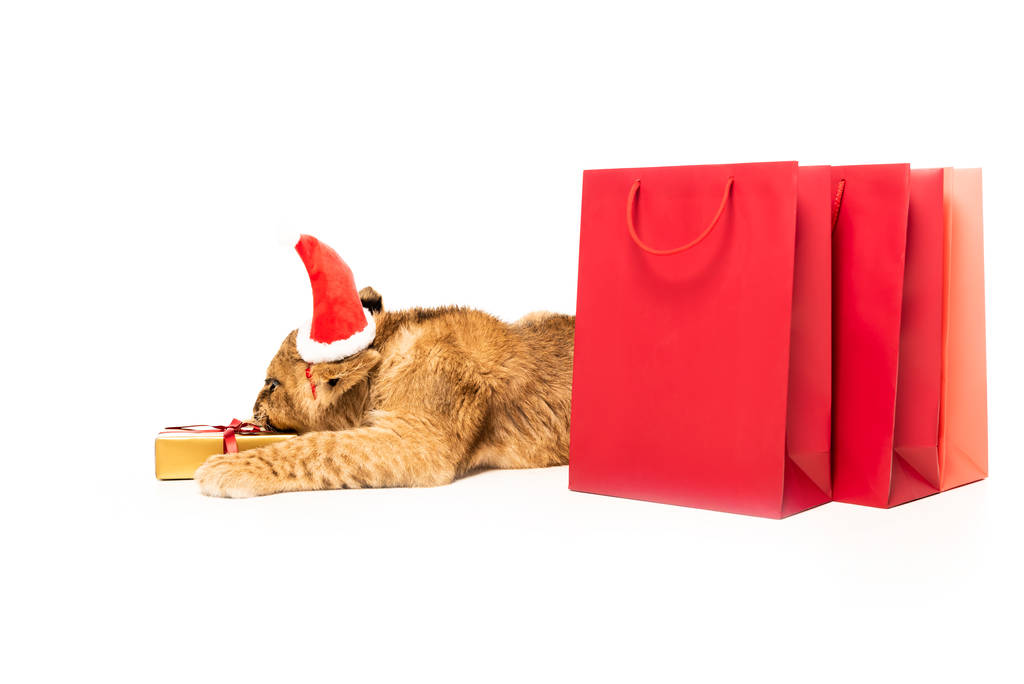 милый лев детеныш в шляпе Санта рядом с золотым подарком и красные пакеты для покупок изолированы на белом
 - Фото, изображение