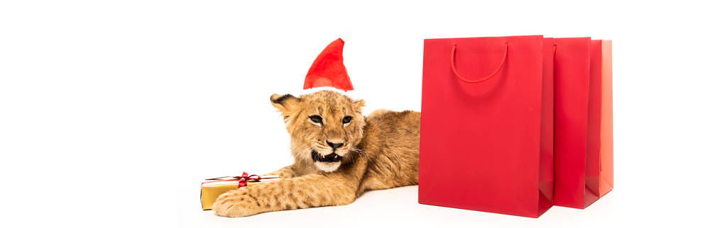 roztomilý lev mládě v Santa klobouk v blízkosti zlatý dárek a červené nákupní tašky izolované na bílém, panoramatický záběr - Fotografie, Obrázek