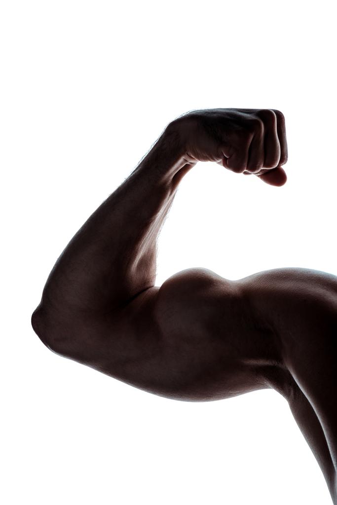 Bodybuilder Showing His Toned Biceps Stock Photo by