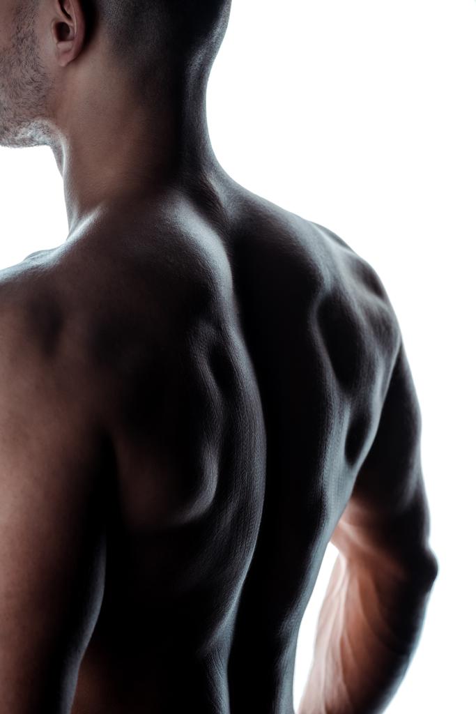 σέξι bodybuilder με μυϊκή πλάτη στη σκιά απομονώνονται σε λευκό - Φωτογραφία, εικόνα