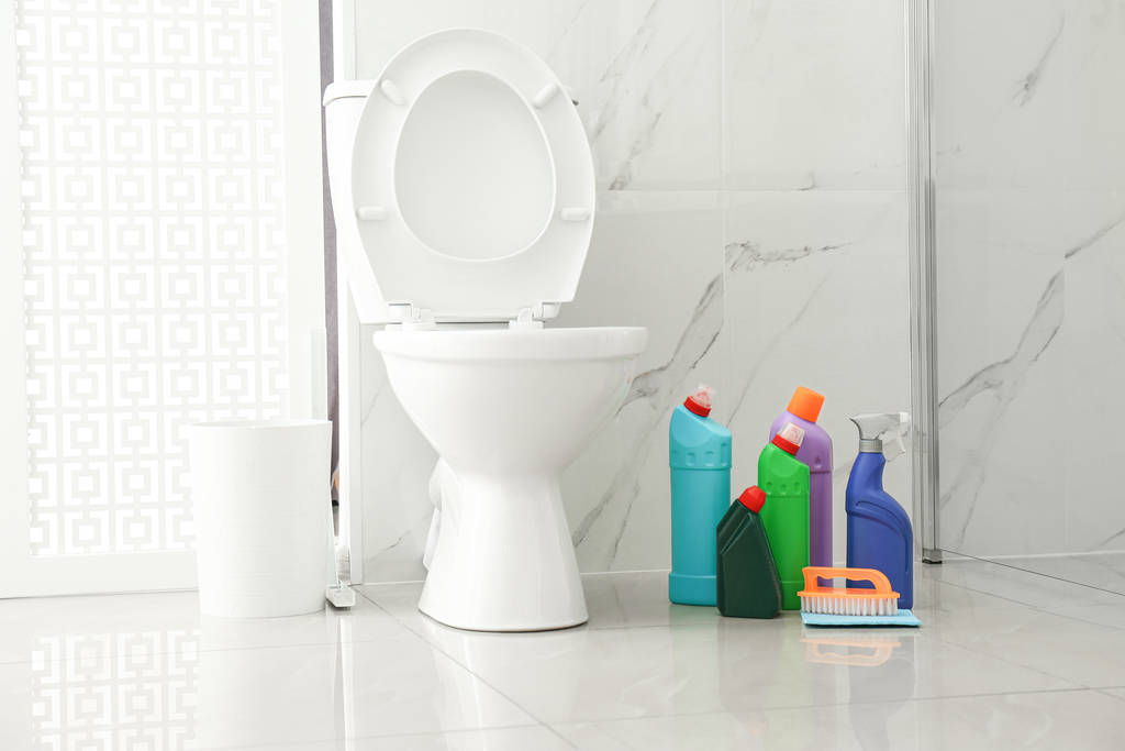 Toilet bowl and cleaning supplies in modern bathroom - Photo, Image