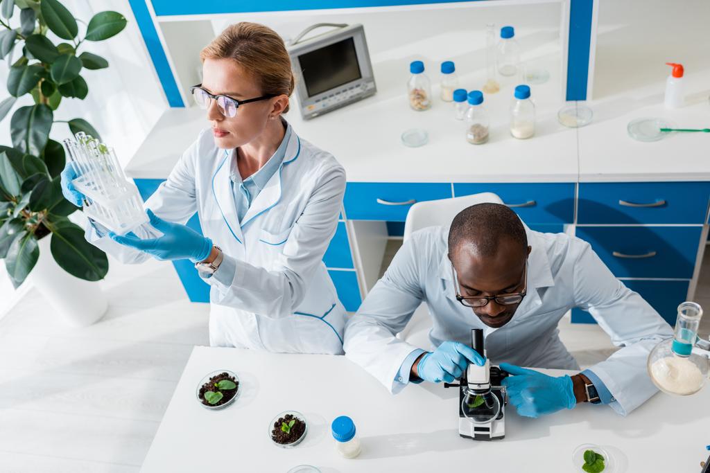 vista de ángulo alto del biólogo mirando tubos de ensayo y colega afroamericano usando microscopio
 - Foto, imagen