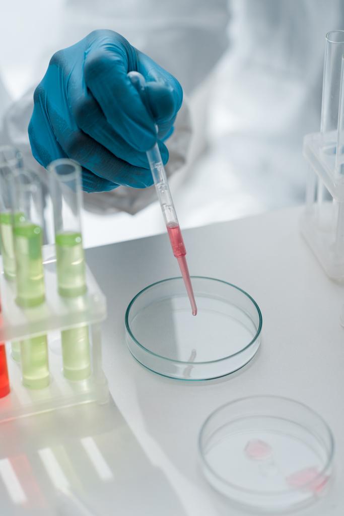 ostříhaný pohled na vědce v latexové rukavici provádějící test DNA v laboratoři  - Fotografie, Obrázek