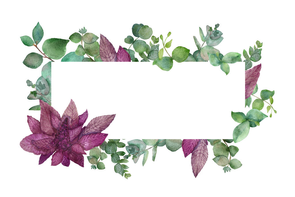 Aquarel frame van groene en zilveren eucalyptus takken, met bloemen en bladeren van Bourgogne amaranth geïsoleerd op witte achtergrond. Botanische illustratie van tropische, medicinale planten . - Foto, afbeelding