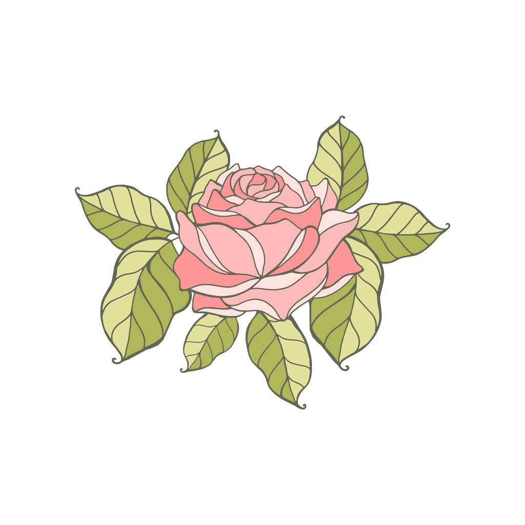 Vektor Blumenstrauß Design: Garten rosa Pfirsich Rose Blume. Hochzeitsvektor laden Illustration Aquarell Designer niedliches Element - Vektor, Bild