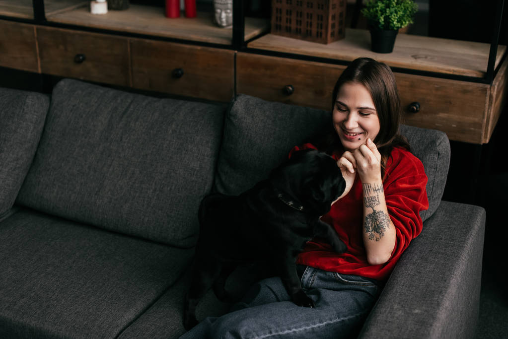 Smiling girl playing with pug on sofa in living room - Photo, Image