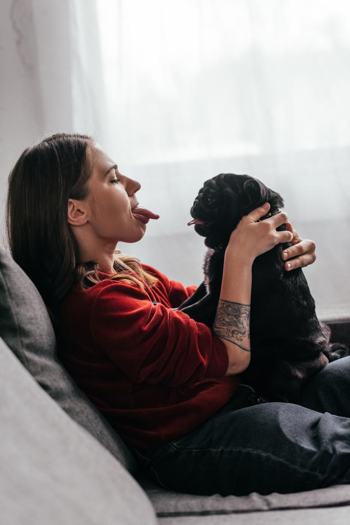 Vista laterale della giovane donna che sporge la lingua al cane carlino sul divano
 - Foto, immagini
