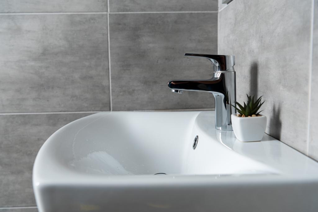 Ceramic washbasin with plant in restroom with grey tile - Photo, Image