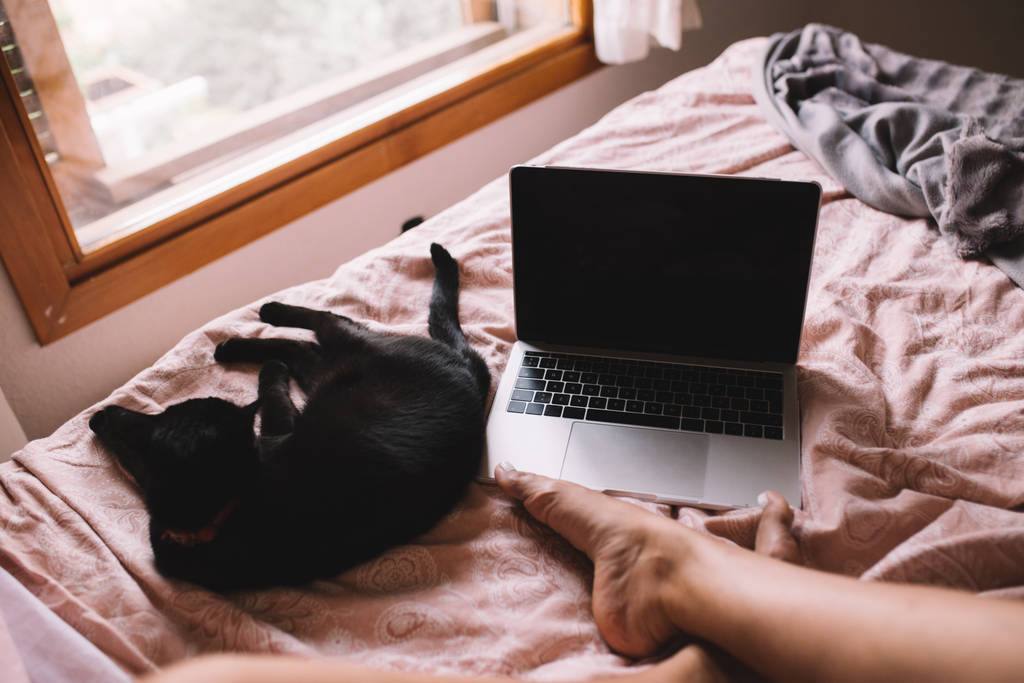 Kaunis musta kissanpentu makaa sängyllä, omistajan jaloissa, nainen käyttää kannettavaa makuuhuoneessaan. Hygge pörröisen kissan kanssa. Huomenta. Musta kissa katselee ikkunasta. Kotimaan, teknologian ja lemmikkieläinten käsite
. - Valokuva, kuva