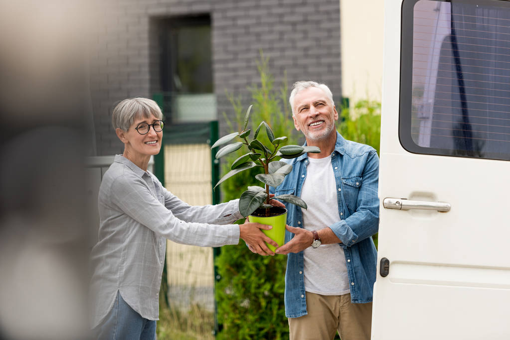 mature man and smiling woman holding plant near new house  - Photo, Image