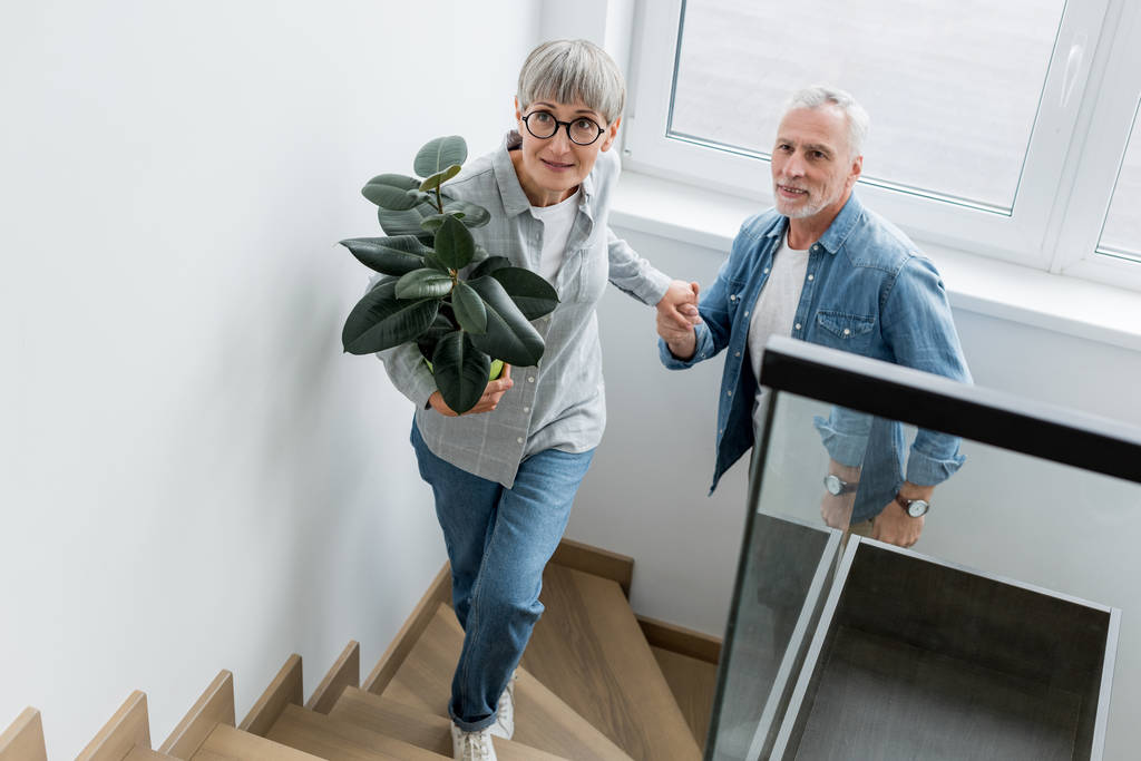 Повзрослевшая женщина с растением, держащимся за руки с мужчиной в новом доме
  - Фото, изображение