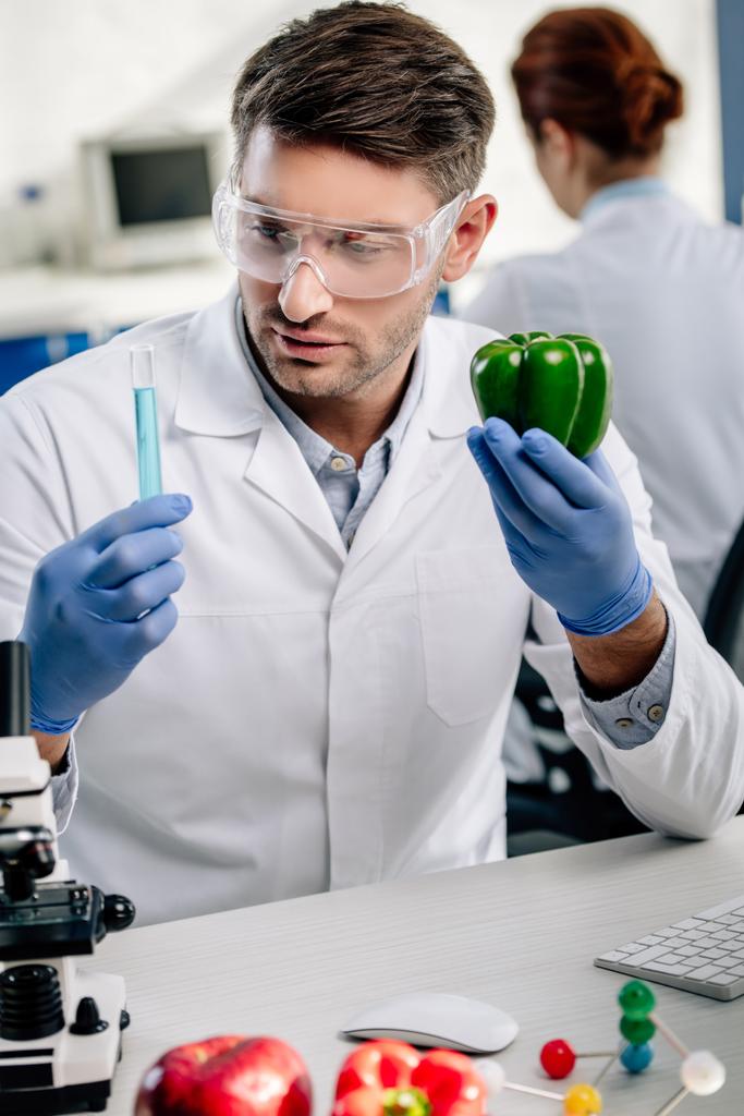 μοριακός διατροφολόγος που κρατάει πιπεριά και δοκιμαστικό σωλήνα στο εργαστήριο - Φωτογραφία, εικόνα