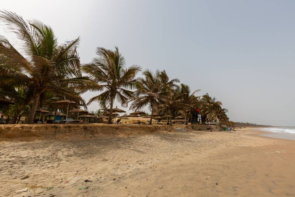 Gyönyörű kilátás nyílik a pálmafák a strandon elfogták Gambia, Afrika - Fotó, kép