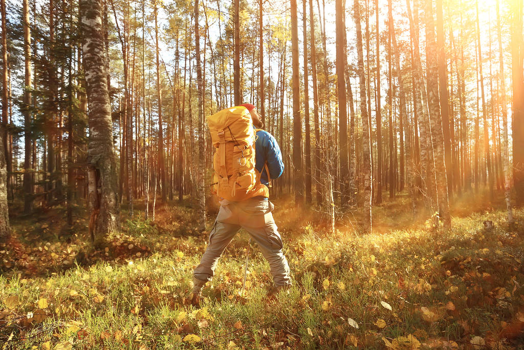 mies reppu näkymä takaa, vaellus metsässä, syksyllä maisema, takana turisti reppu
 - Valokuva, kuva