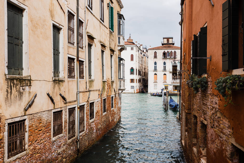 canal and ancient buildings with plants in Venice, Italy  - Photo, Image