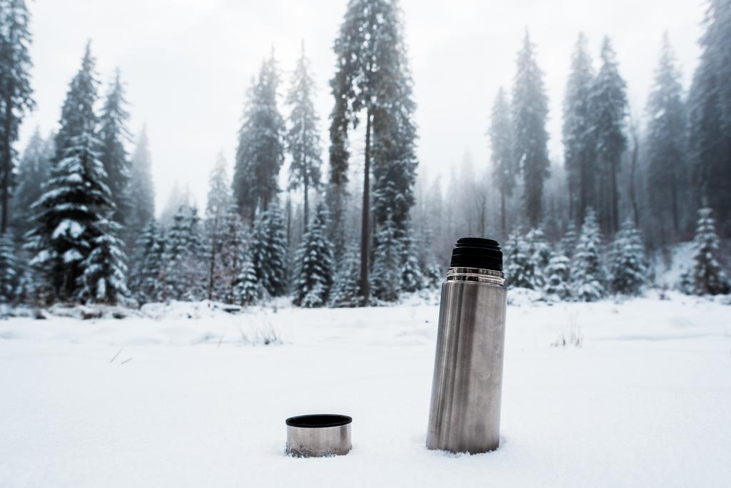 松の木のある山の雪の上の真空フラスコ - 写真・画像