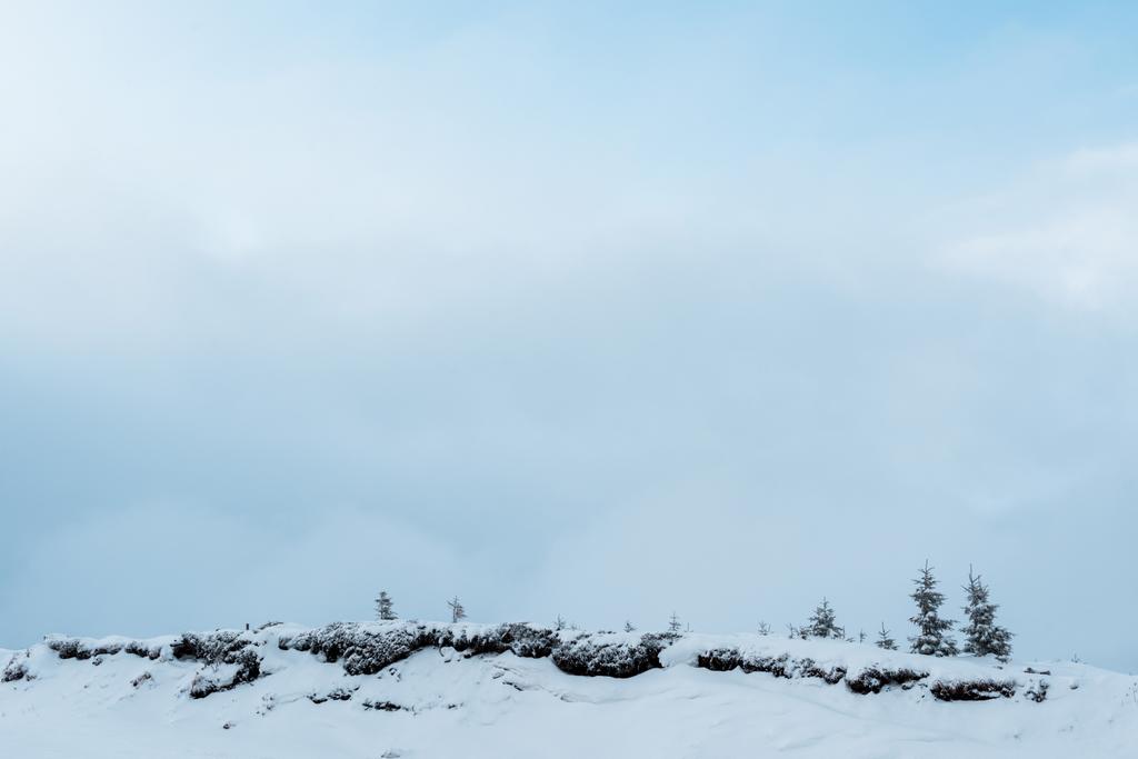 scenic view of snowy hill with pine trees and white fluffy clouds - Photo, Image