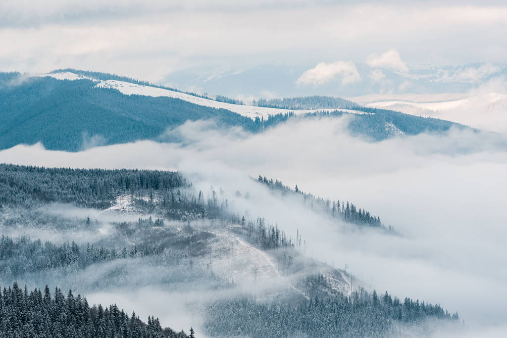 白いふわふわの雲の中に松の木がある雪の山の景色 - 写真・画像