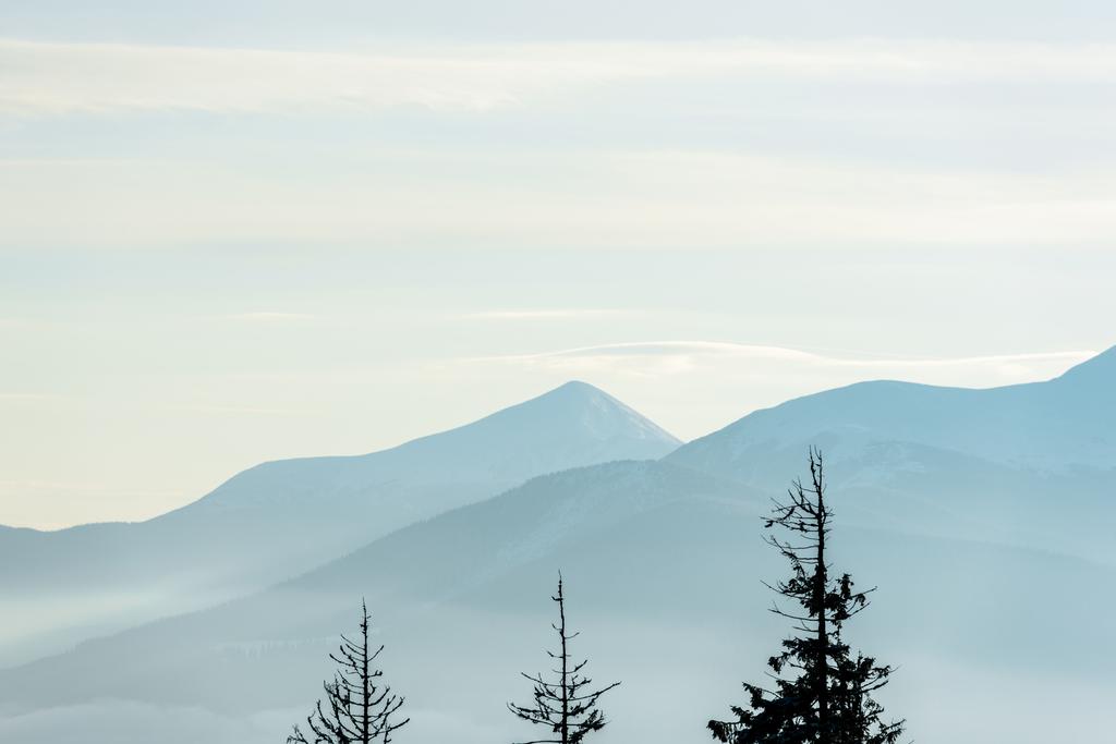 vista panorâmica de montanhas com pinheiros em sol
 - Foto, Imagem