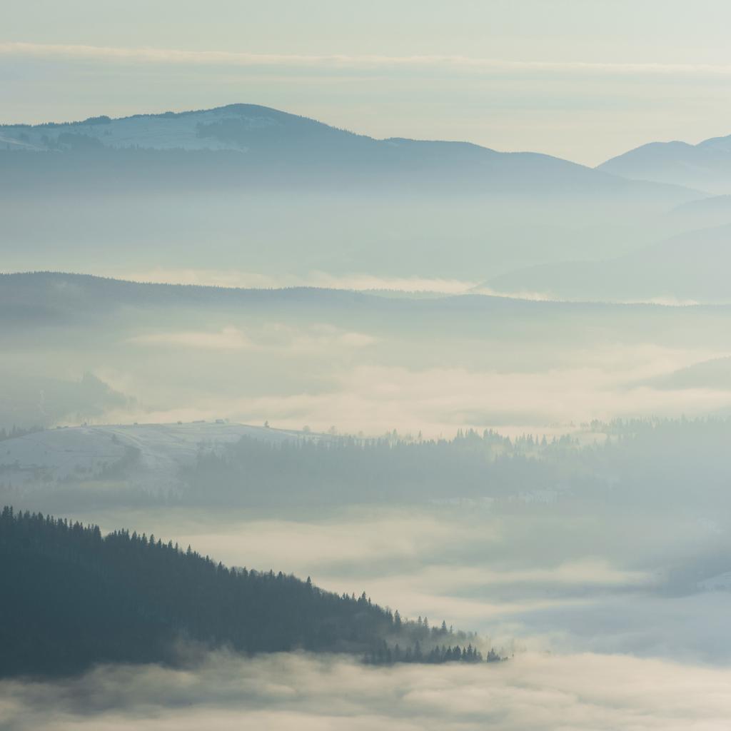 vista panoramica delle montagne innevate con pini in bianche nuvole soffuse
 - Foto, immagini