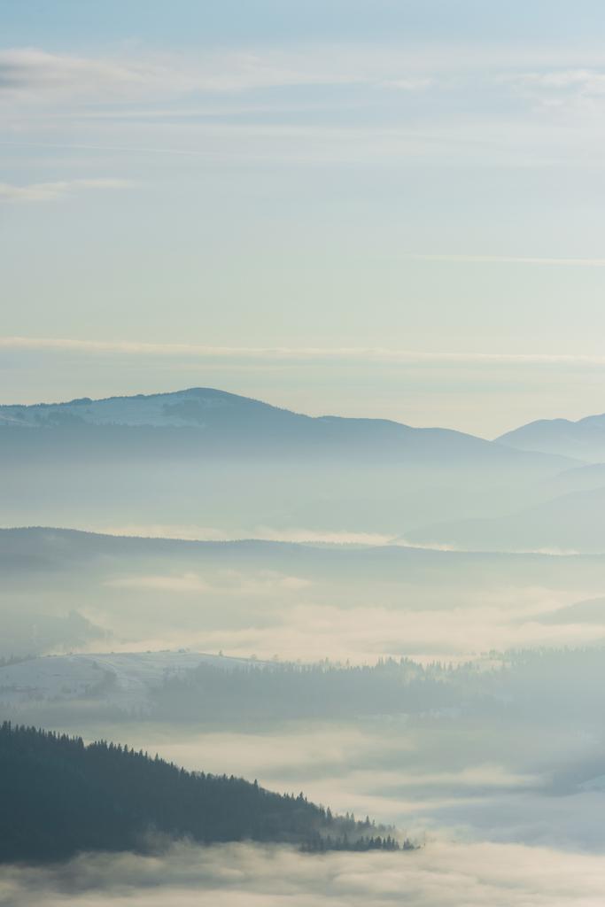 malebný pohled na zasněžené hory s borovicemi v bílých nadýchaných mracích - Fotografie, Obrázek