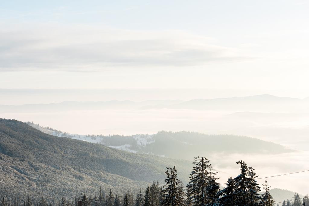 vista panorâmica de montanhas nevadas com pinheiros à luz do sol
 - Foto, Imagem