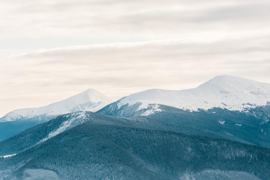 festői kilátás havas hegyek fenyőfák fehér bolyhos felhők - Fotó, kép