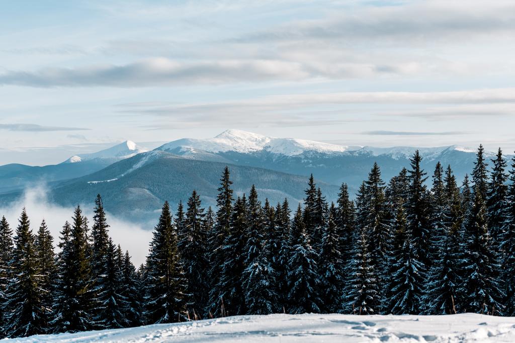 vista panorâmica de montanhas nevadas com pinheiros em nuvens brancas fofas
 - Foto, Imagem