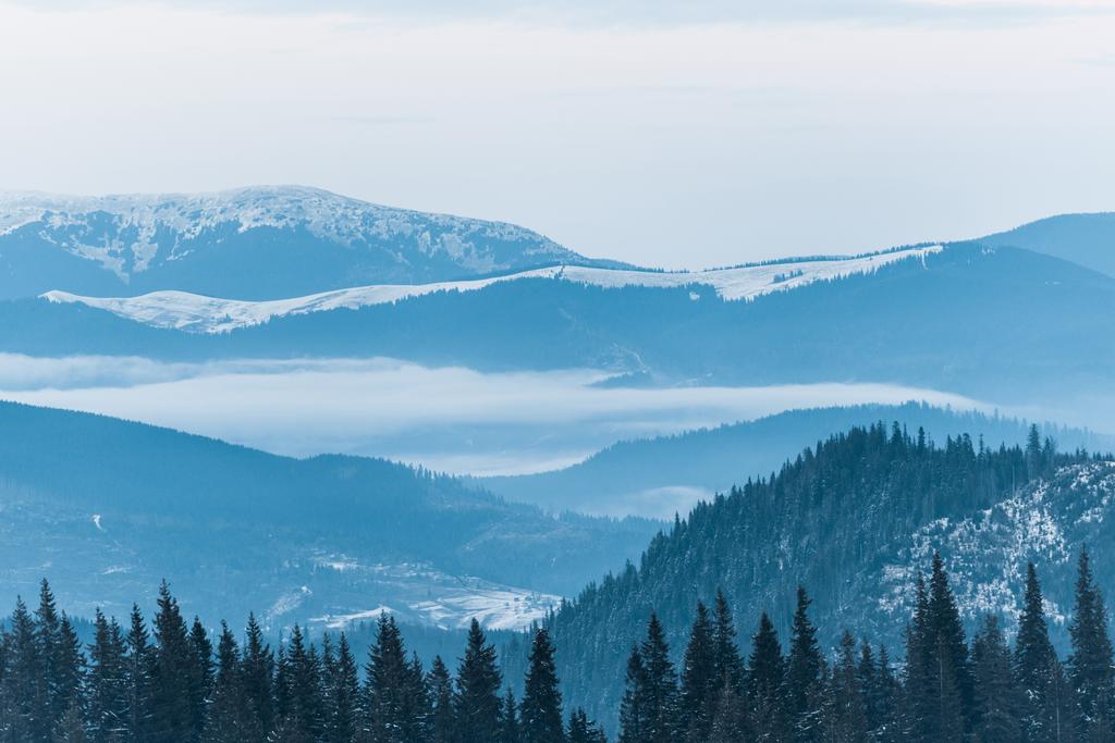 luonnonkaunis näkymä lumiset vuoret mäntyjä ja pilvinen taivas
 - Valokuva, kuva