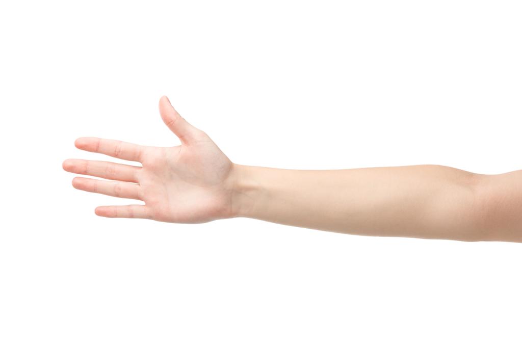 vista recortada de la mujer mostrando la palma aislada en blanco
 - Foto, imagen