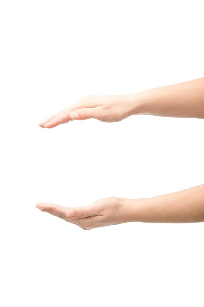 Ausgeschnittene Ansicht einer Frau mit Hold-Geste isoliert auf Weiß - Foto, Bild