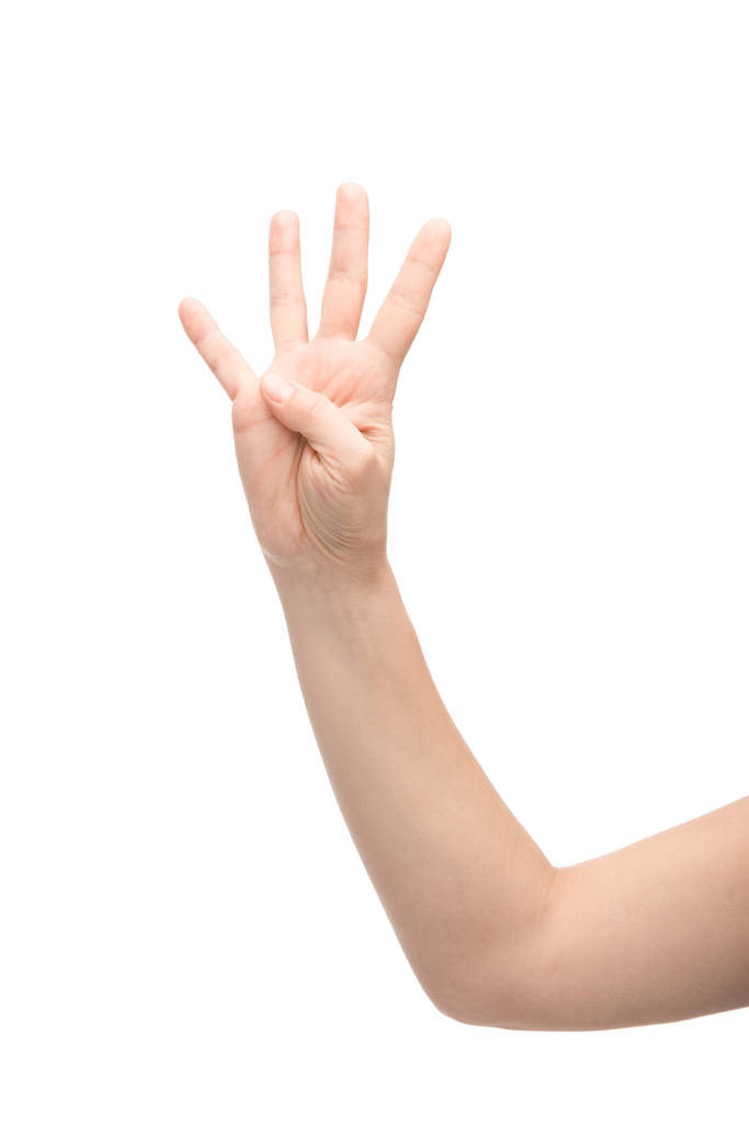 rajattu näkymä nainen osoittaa neljä sormea ele eristetty valkoinen
 - Valokuva, kuva