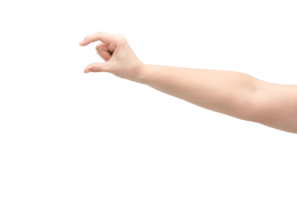 vista cortada da mulher mostrando gesto de preensão isolado no branco
 - Foto, Imagem