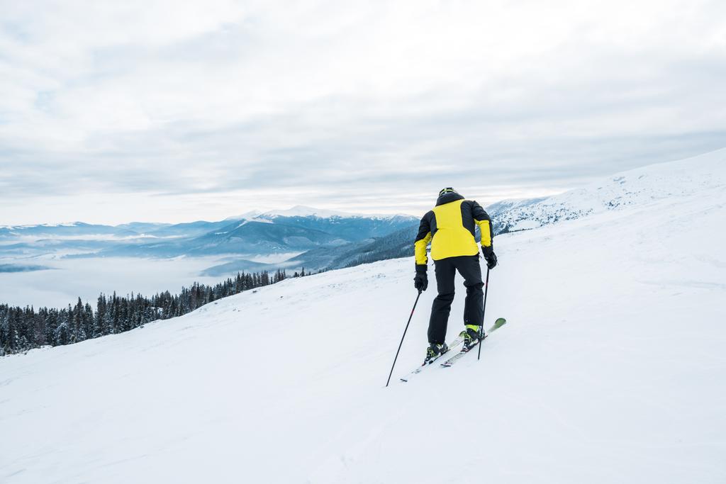 вид сзади на спортсмена, держащего лыжные палки и катающегося на лыжах на белом склоне
 - Фото, изображение