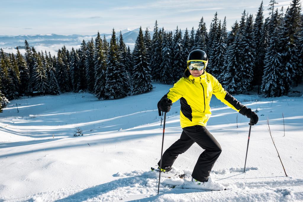 Skifahrer mit Skibrille auf Schnee in der Nähe von Tannen - Foto, Bild