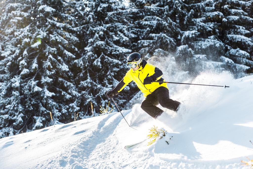 Sportler mit Skibrille hält Skistöcke beim Skifahren auf Schnee in der Nähe von Kiefern  - Foto, Bild