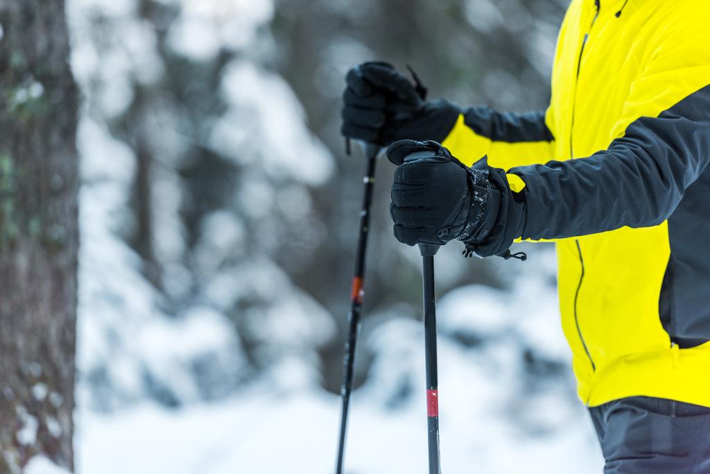 vista ritagliata dello sciatore che tiene i bastoni da sci in inverno
  - Foto, immagini