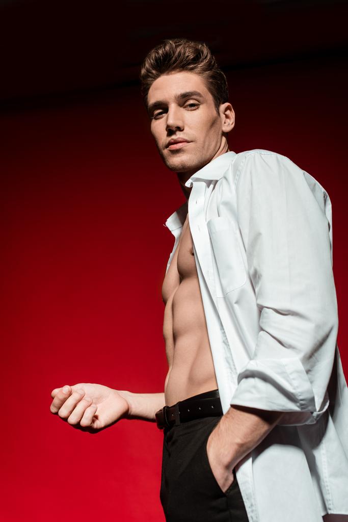 vista de ángulo bajo de sexy joven elegante hombre en camisa desabotonada con torso desnudo muscular posando con la mano en el bolsillo sobre fondo rojo
 - Foto, imagen