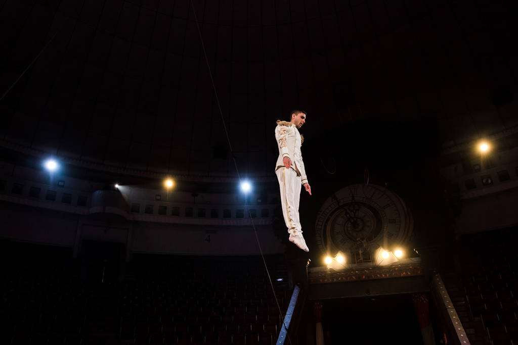 handsome gymnast flying in arena of circus  - Photo, Image